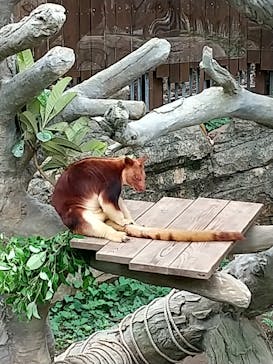 よこはま動物園ズーラシアに投稿された画像（2022/5/20）