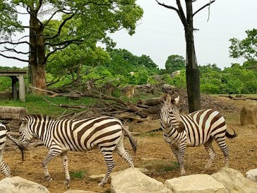 よこはま動物園ズーラシアに投稿された画像（2022/5/20）