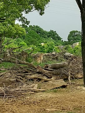 よこはま動物園ズーラシアに投稿された画像（2022/5/20）
