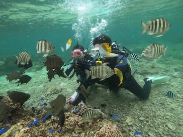 武藤潜水に投稿された画像（2022/5/23）