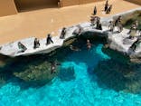 アクアワールド茨城県大洗水族館に投稿された画像（2022/5/23）