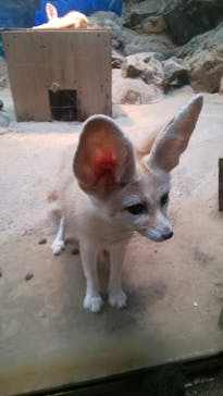 伊豆シャボテン動物公園に投稿された画像（2022/5/23）