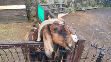 伊豆シャボテン動物公園に投稿された画像（2022/5/23）