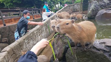 伊豆シャボテン動物公園に投稿された画像（2022/5/23）