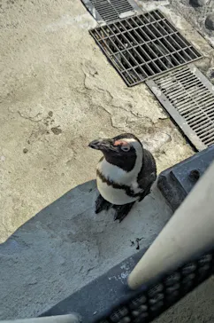 横浜・八景島シーパラダイスに投稿された画像（2022/5/23）