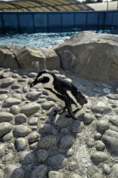 横浜・八景島シーパラダイスに投稿された画像（2022/5/23）