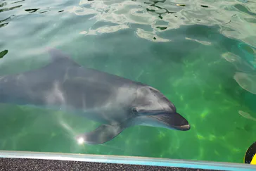 横浜・八景島シーパラダイスに投稿された画像（2022/5/23）
