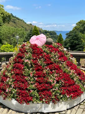 ACAO FORESTに投稿された画像（2022/5/23）