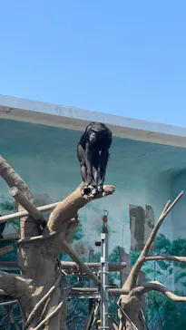 天王寺動物園に投稿された画像（2022/5/23）