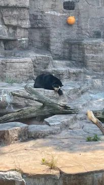天王寺動物園に投稿された画像（2022/5/23）