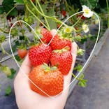 果実の里 原田農園に投稿された画像（2022/5/23）