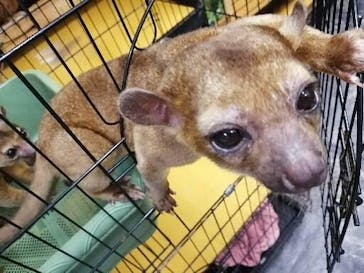 アニPONワールドに投稿された画像（2022/5/23）