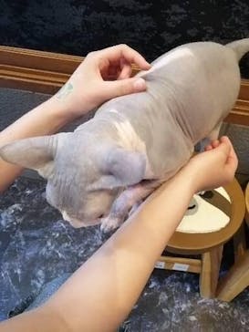 アニPONワールドに投稿された画像（2022/5/23）