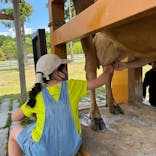 牧歌の里に投稿された画像（2022/5/23）