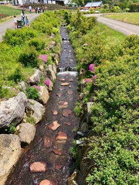 牧歌の里に投稿された画像（2022/5/23）