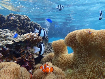 宮古島 ADVENTURE PiPi（ミヤコジマ アドベンチャー ピピ）に投稿された画像（2022/5/23）