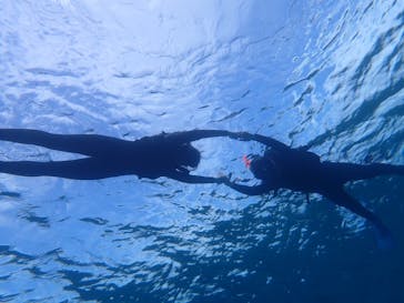 宮古島 ADVENTURE PiPi（ミヤコジマ アドベンチャー ピピ）に投稿された画像（2022/5/23）