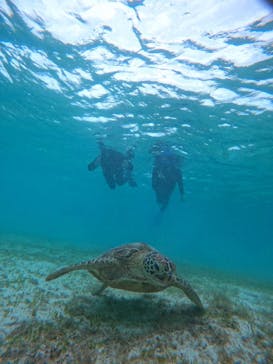 宮古島 ADVENTURE PiPi（ミヤコジマ アドベンチャー ピピ）に投稿された画像（2022/5/23）