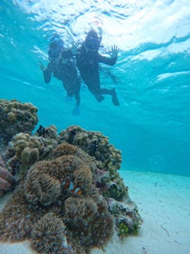 宮古島 ADVENTURE PiPi（ミヤコジマ アドベンチャー ピピ）に投稿された画像（2022/5/23）