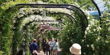 いばらきフラワーパークに投稿された画像（2022/5/23）