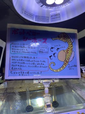 ゼロ距離水族館 伊勢シーパラダイスに投稿された画像（2022/5/23）
