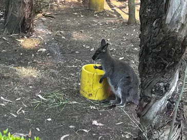 天王寺動物園に投稿された画像（2022/5/23）