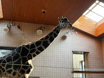 天王寺動物園に投稿された画像（2022/5/23）