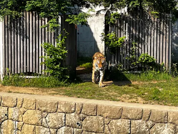 天王寺動物園に投稿された画像（2022/5/23）