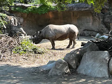天王寺動物園に投稿された画像（2022/5/23）