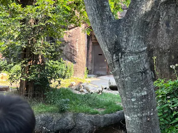 天王寺動物園に投稿された画像（2022/5/23）