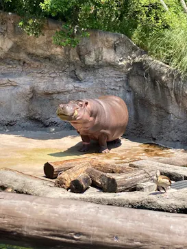 天王寺動物園に投稿された画像（2022/5/23）