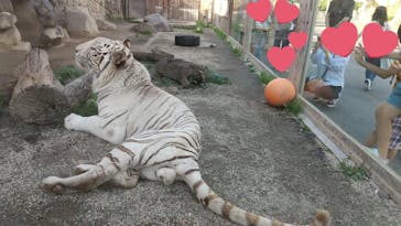 東武動物公園に投稿された画像（2022/5/24）