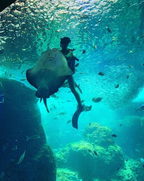 新江ノ島水族館に投稿された画像（2022/5/24）