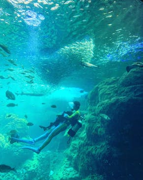 新江ノ島水族館に投稿された画像（2022/5/24）