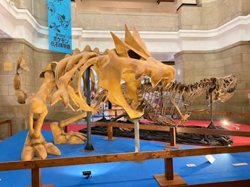 国立科学博物館　特別企画展「ポケモン化石博物館」に投稿された画像（2022/5/24）