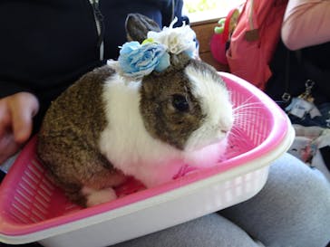 伊香保グリーン牧場に投稿された画像（2022/5/24）