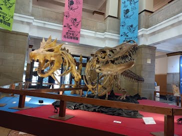 国立科学博物館　特別企画展「ポケモン化石博物館」に投稿された画像（2022/5/24）