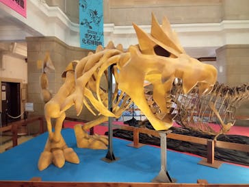 国立科学博物館　特別企画展「ポケモン化石博物館」に投稿された画像（2022/5/24）