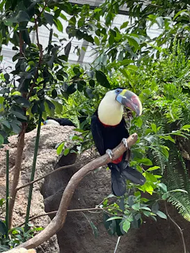 神戸どうぶつ王国に投稿された画像（2022/5/24）