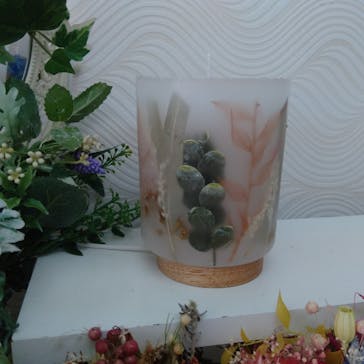 ずこうしつ〜sugamo〜に投稿された画像（2022/5/24）