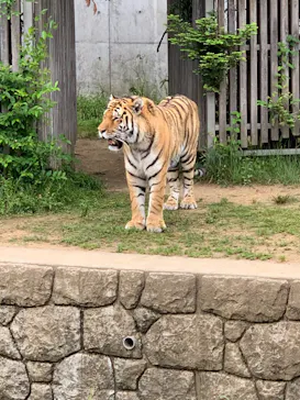 天王寺動物園に投稿された画像（2022/5/24）