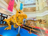 国立科学博物館　特別企画展「ポケモン化石博物館」に投稿された画像（2022/5/24）