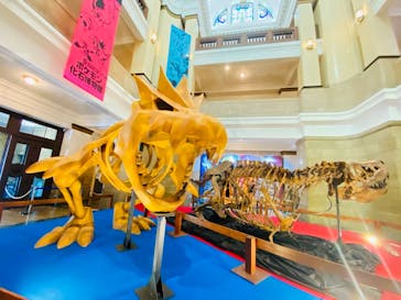 国立科学博物館　特別企画展「ポケモン化石博物館」に投稿された画像（2022/5/24）