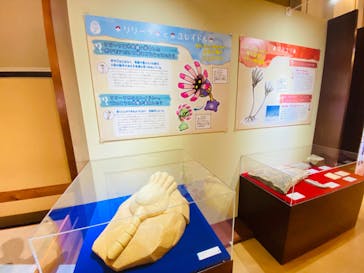 国立科学博物館　特別企画展「ポケモン化石博物館」に投稿された画像（2022/5/24）
