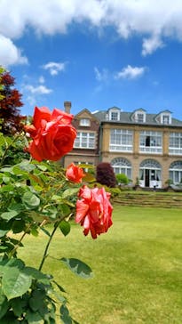 鳩山会館に投稿された画像（2022/5/24）