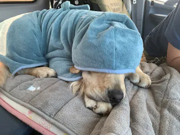 わんダフルネイチャーヴィレッジに投稿された画像（2022/5/24）