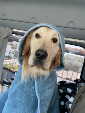 わんダフルネイチャーヴィレッジに投稿された画像（2022/5/24）