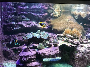 サンシャイン水族館に投稿された画像（2022/5/24）