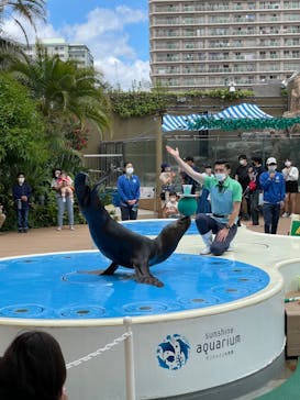 サンシャイン水族館に投稿された画像（2022/5/24）