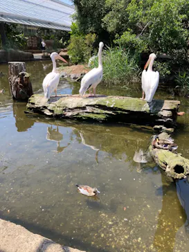 神戸どうぶつ王国に投稿された画像（2022/5/24）